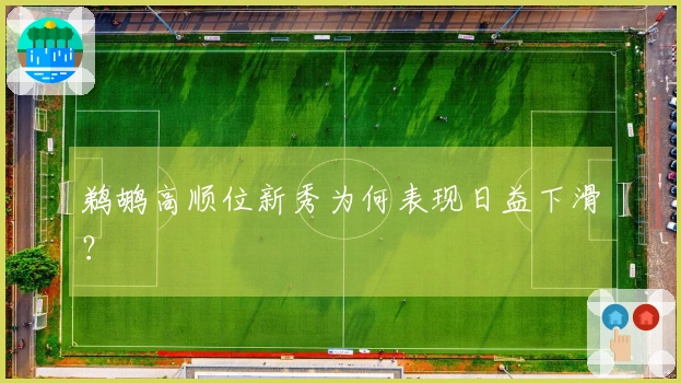 鹈鹕高顺位新秀为何表现日益下滑？