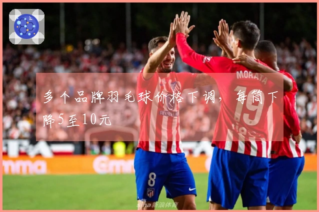 多个品牌羽毛球价格下调，每筒下降5至10元