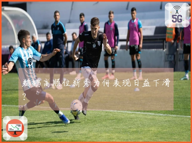 鹈鹕高顺位新秀为何表现日益下滑？