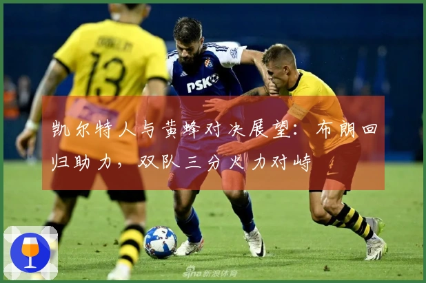 凯尔特人与黄蜂对决展望：布朗回归助力，双队三分火力对峙