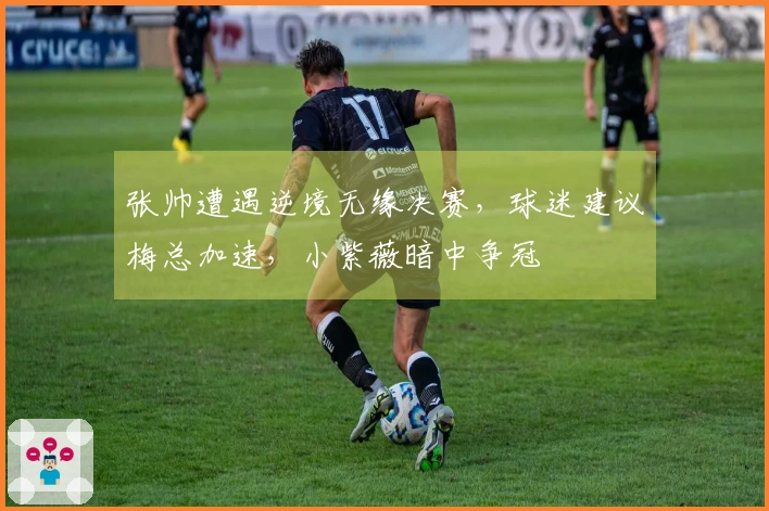 张帅遭遇逆境无缘决赛，球迷建议梅总加速，小紫薇暗中争冠